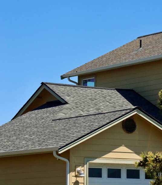 Best Roof Maintenance and Cleaning  in USA